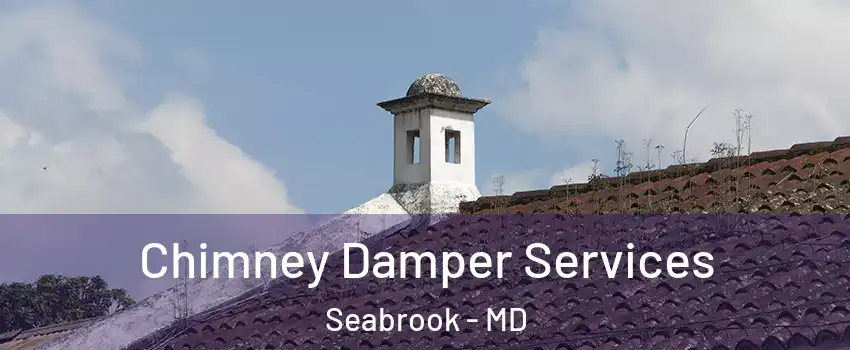  Chimney Damper Services Seabrook - MD