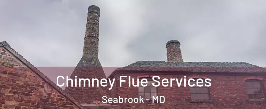  Chimney Flue Services Seabrook - MD