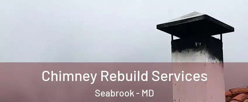  Chimney Rebuild Services Seabrook - MD