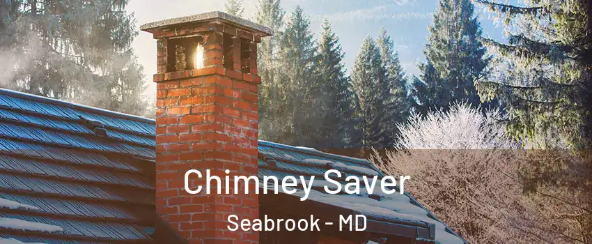  Chimney Saver Seabrook - MD