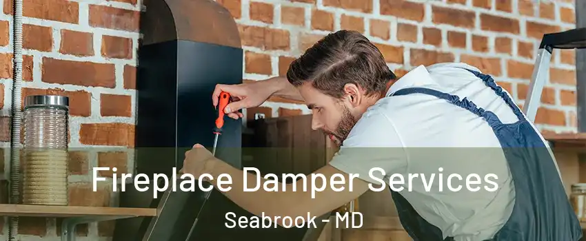  Fireplace Damper Services Seabrook - MD