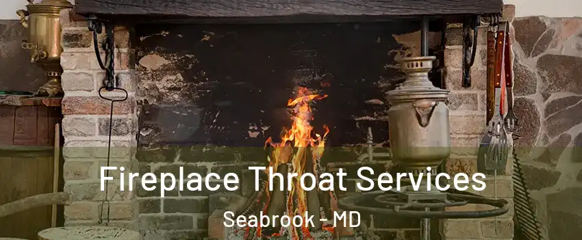  Fireplace Throat Services Seabrook - MD