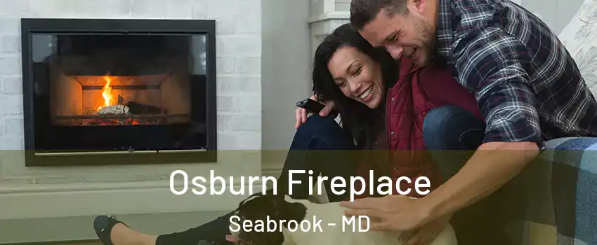  Osburn Fireplace Seabrook - MD